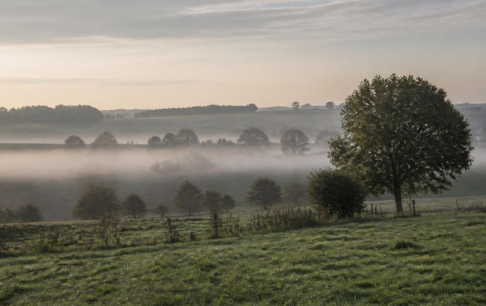 Paysage de campagne belge dans la brume du matin